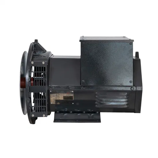 Chinese Alternator Three Phase 30kw Brushless AC Alternators